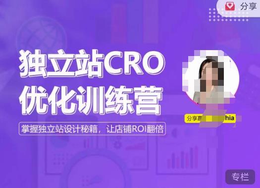 独立站CRO优化训练营，掌握独立站设计秘籍，打造高转化的独立站，让店铺ROI翻倍-16888副业资讯