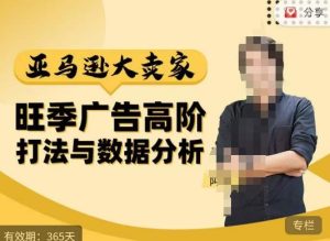阿甘·亚马逊大卖家广告高阶打法与数据分析，走出传统广告误区；揭秘大卖惯用打法；数据驱动广告决策-16888副业资讯