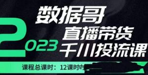 数据哥2023直播电商巨量千川付费投流实操课，快速掌握直播带货运营投放策略-16888副业资讯