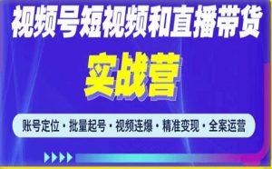 2023最新微信视频号引流和变现全套运营实战课程，小白也能玩转视频号短视频和直播运营-16888副业资讯