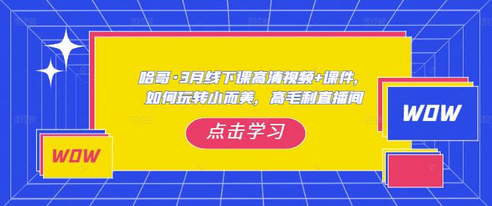 哈哥·3月线下实操课高清视频+课件，如何玩转小而美，高毛利直播间-16888副业资讯