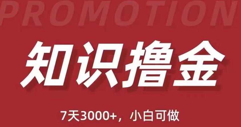 抖音知识撸金项目：简单粗暴日入1000+执行力强当天见收益(教程+资料)-16888副业资讯