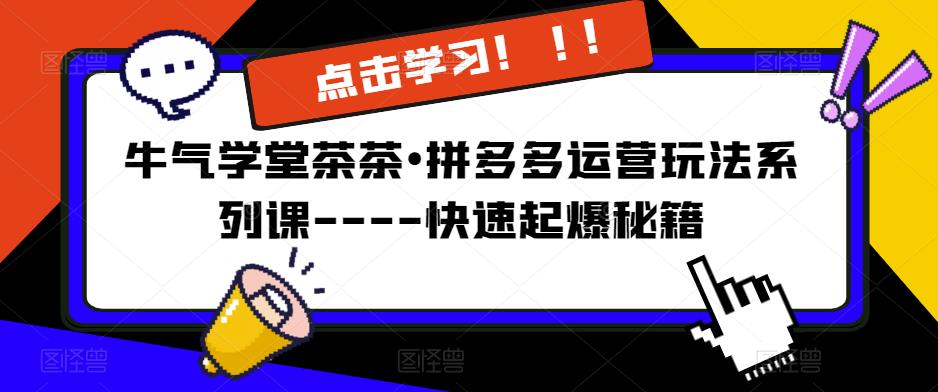 牛气学堂茶茶•拼多多运营玩法系列课—-快速起爆秘籍【更新】-16888副业资讯