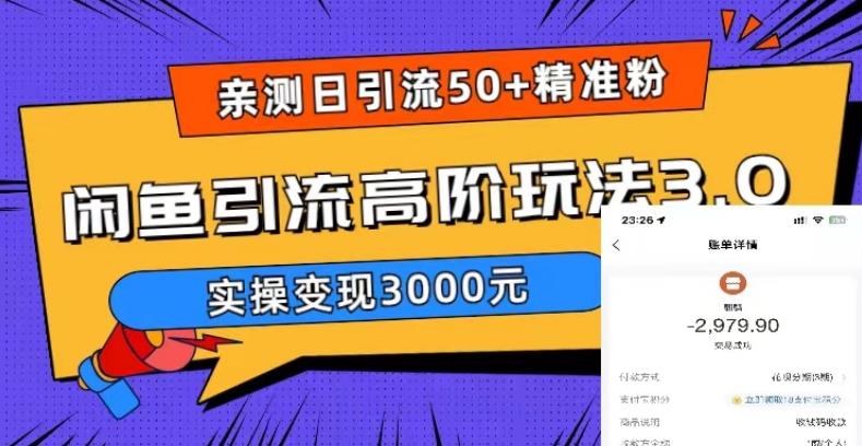亲测日引50+精准粉，闲鱼引流高阶玩法3.0，实操变现3000元【揭秘】-16888副业资讯