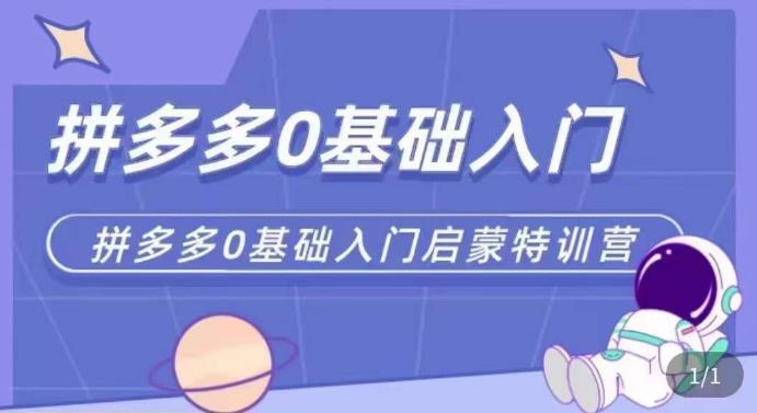 拼多多运营0-1实操特训营，拼多多0基础入门，从基础到进阶的可实操玩法-16888副业资讯