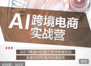 白龙老师·AI跨境电商实战营:从0-1精通Al的真正有效电商玩法,卖家如何利用Al快速超车-16888副业资讯