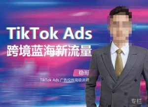 稳哥·如何投出高ROI的TikTok广告,开拓独立站卖家流量新蓝海-16888副业资讯