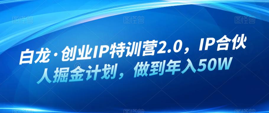 白龙·创业IP特训营2.0，IP合伙人掘金计划，做到年入50W-16888副业资讯