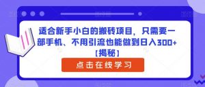 适合新手小白的搬砖项目，只需要一部手机、不用引流也能做到日入300+【揭秘】-16888副业资讯