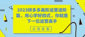 2023拼多多高阶运营进阶篇，用心学好四式，你就是下一位运营高手-16888副业资讯