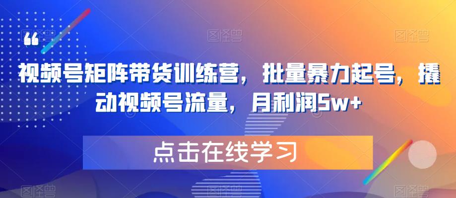 视频号矩阵带货训练营，批量暴力起号，撬动视频号流量，月利润5w+-16888副业资讯