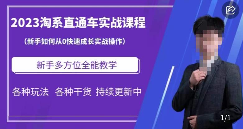 2023淘系直通车保姆式运营讲解，新手如何从0快速成长实战操作，新手多方位全能教学-16888副业资讯