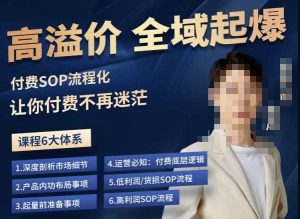 逸风-拼多多高溢价全域起爆,6大课程体系,付费玩法全套实操-16888副业资讯