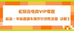 松鼠会电商VIP教程：松鼠《付费推广标品·半标直通车操作针对性答疑&诊断》-16888副业资讯