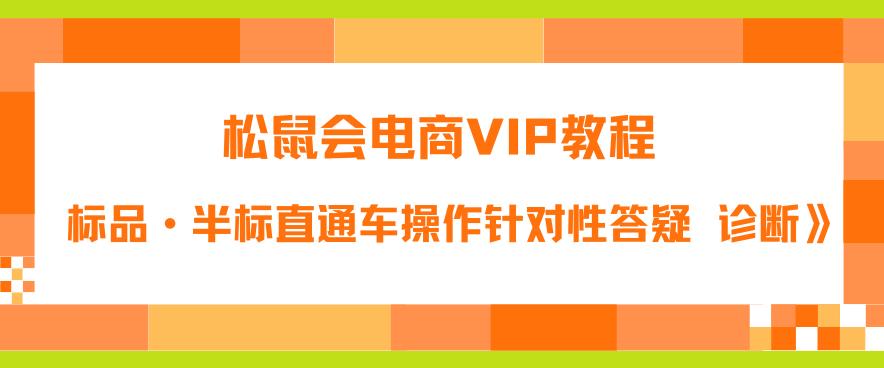 松鼠会电商VIP教程：松鼠《付费推广标品·半标直通车操作针对性答疑&诊断》-16888副业资讯