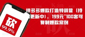 拼多多爆款打造特训营(持续更新中),199元*100套可复制爆款案例-16888副业资讯