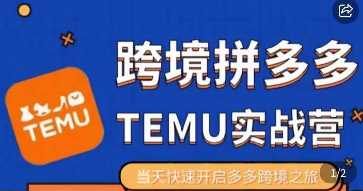 大鹏出海·拼多多跨境temu运营指导，开店注册+选品+核价上架，日出千单实战课-16888副业资讯