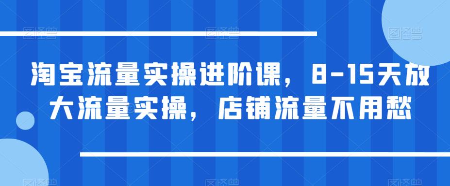 淘宝流量实操进阶课，8-15天放大流量实操，店铺流量不用愁-16888副业资讯