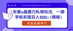 车载u盘暴力私域玩法，一部手机实现日入300+【揭秘】-16888副业资讯