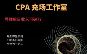 cpa充场工作室，号称单日收入10000+（揭秘）-16888副业资讯