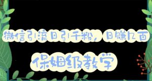 微信互推圈半自动引流方案，矩阵操作日引千人思路【详细视频教程】-16888副业资讯