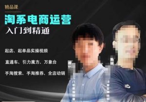 2023手淘搜索实操课+体系化课程，​起店起单品实操视频课程-16888副业资讯