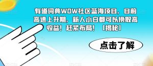 有道词典WOW社区蓝海项目，目前高速上升期，新人小白都可以换取高收益！赶紧布局！【揭秘】-16888副业资讯