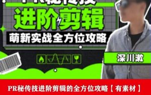 PR进阶剪辑培训班,让你快速成为剪辑大师12节视频课程+素材!-16888副业资讯