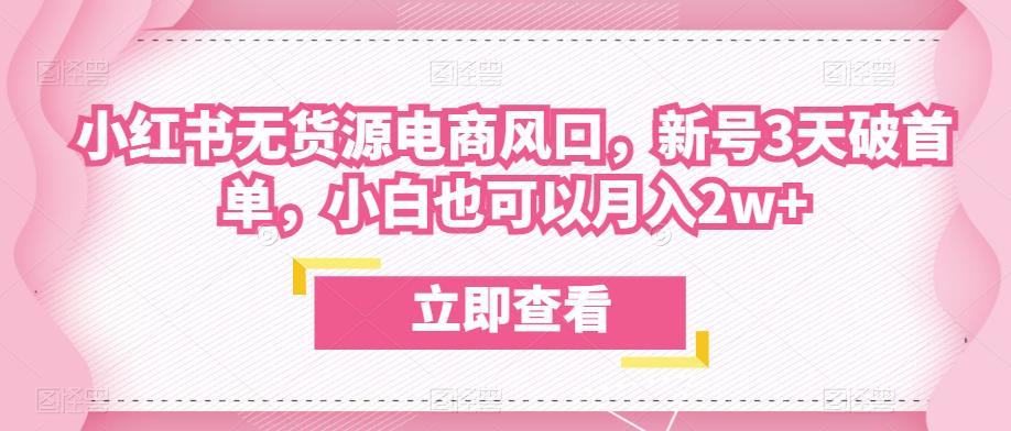 众狼电商余文小红书无货源电商风口，新号3天破首单，小白也可以月入2w+-16888副业资讯