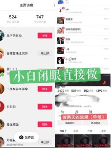 一天做完别一辈子的视频制作最近很火的《1000个野路子信息差》100%过原创【揭秘】-16888副业资讯