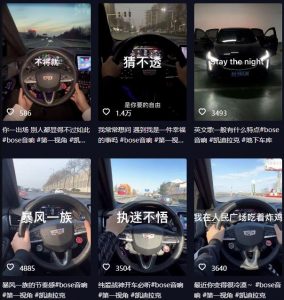 抖音开车视频项目,0基础操作,每天五分钟,月入1W+【揭秘】-16888副业资讯