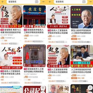 拆解小红书宝宝起名虚拟副业项目，一条龙实操玩法分享给你（教程+软件）-16888副业资讯