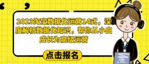 2023淘宝数据化运营14式,深度解析数据化知识,帮你从小白成长为高级运营-16888副业资讯