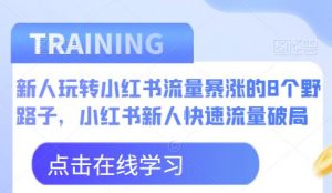 新人玩转小红书流量暴涨的8个野路子,小红书新人快速流量破局-16888副业资讯