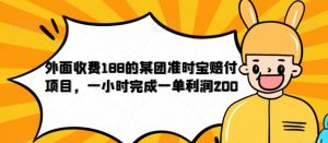 外面收费188的美团准时宝赔付项目，一小时完成一单利润200【仅揭秘】-16888副业资讯