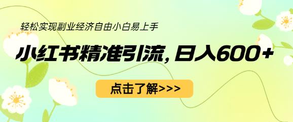 小红书精准引流，小白日入600+，轻松实现副业经济自由（教程+1153G资源）-16888副业资讯