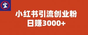 宝哥小红书引流创业粉，日赚3000+【揭秘】-16888副业资讯