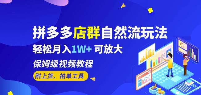 拼多多店群自然流玩法，轻松月入1W+保姆级视频教程（附上货、拍单工具）-16888副业资讯
