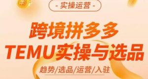 伍跃·跨境拼多多TEMU实操与选品,趋势/选品/运营/入住(27节完整)-16888副业资讯