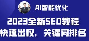 2023最新网站AI智能优化SEO教程，简单快速出权重，AI自动写文章+AI绘画配图-16888副业资讯