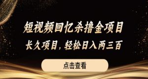 短视频回忆杀撸金项目，长久项目，轻松日入两三张【揭秘】-16888副业资讯