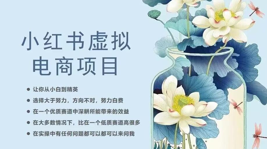 小红书虚拟电商从0到1，让你从小白到精英（20节实操课程）-16888副业资讯