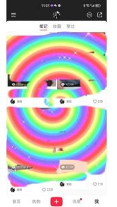 冷门高利润项目,小红书带货,无脑搬运,一部手机实现日入500+【揭秘】-16888副业资讯