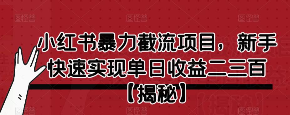 小红书暴力截流项目，新手快速实现单日收益二三百【仅揭秘】-16888副业资讯
