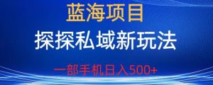 蓝海项目，探探私域新玩法，一部手机日入500+很轻松【揭秘】-16888副业资讯