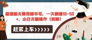 极速版无费用薅羊毛,一天躺赚10-50+,小白无脑操作【拆解】-16888副业资讯