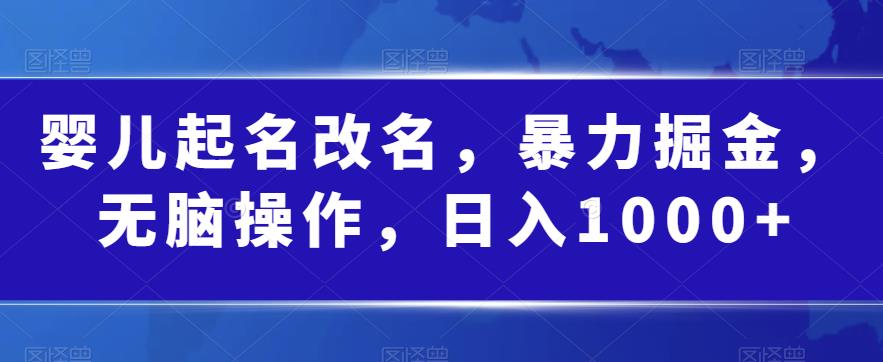 婴儿起名改名，暴力掘金，无脑操作，日入1000+【揭秘】-16888副业资讯