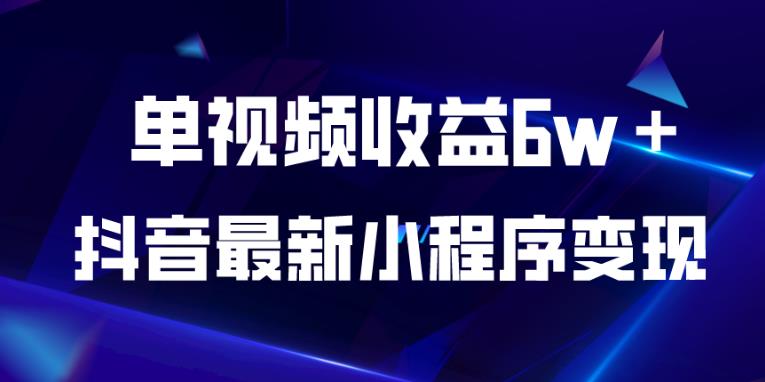 抖音最新小程序变现项目，单视频收益6w＋，小白可做【揭秘】-16888副业资讯