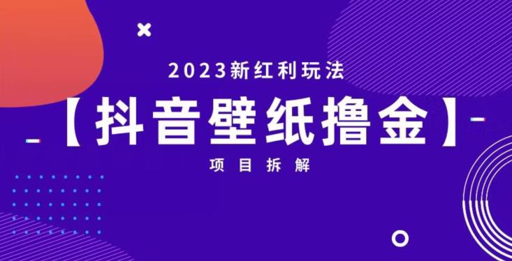 抖音壁纸小程序创作者撸金项目，2023新红利玩法【项目拆解】-16888副业资讯