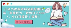 小红书虚拟资料全新思路玩法,流量巨大,轻松日入300+,小白可操作【揭秘】-16888副业资讯